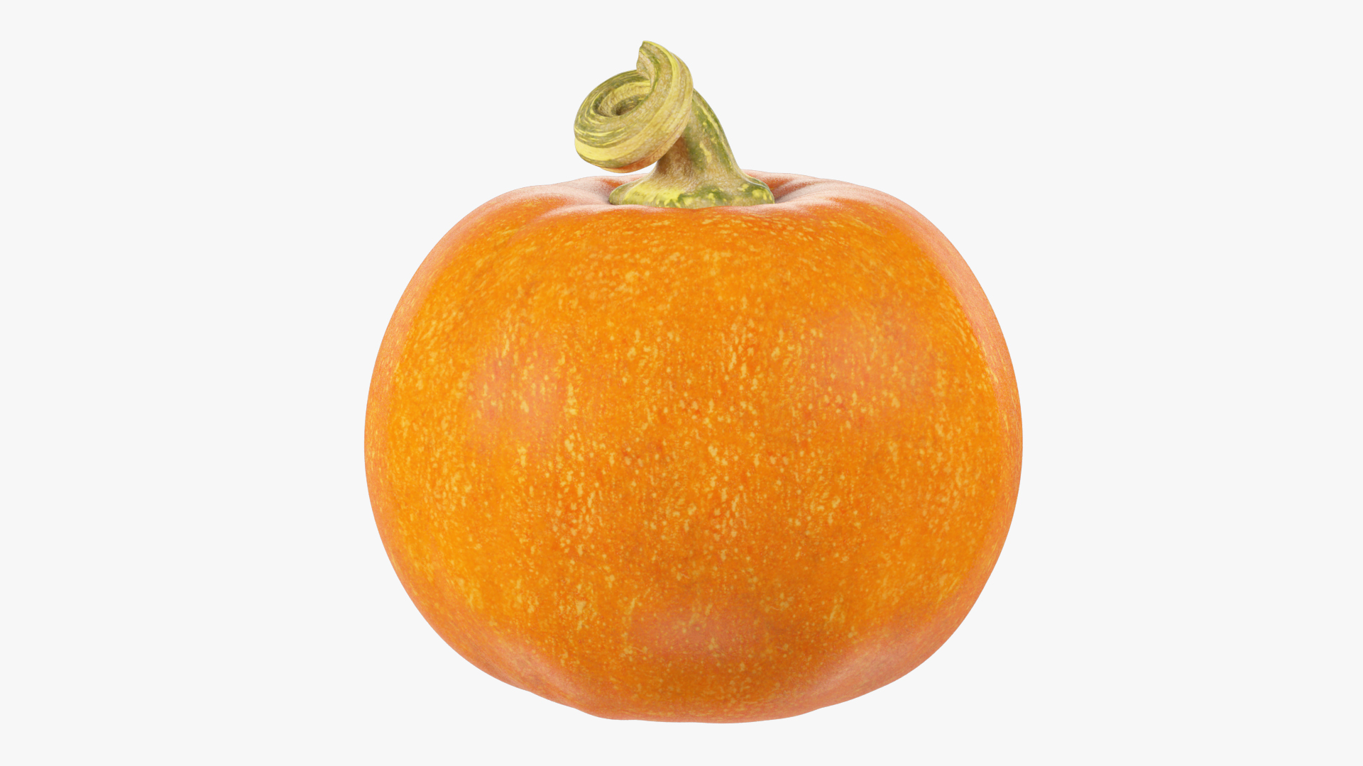 3D Halloween Pumpkins Collection V6 https://p.turbosquid.com/ts-thumb/WP/5SJnUm/cC/p6render/jpg/1629214851/1920x1080/turn_fit_q99/388014acc15136bc9fa589c9b5be0fa7bb22d2eb/p6render-1.jpg