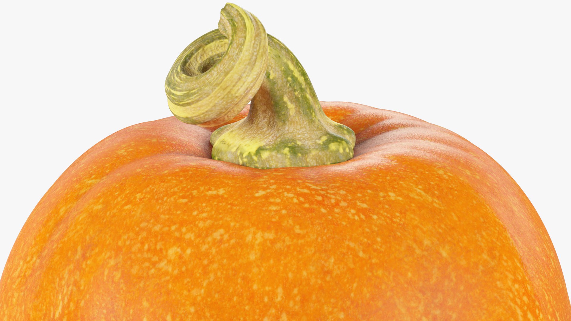 3D Halloween Pumpkins Collection V6 https://p.turbosquid.com/ts-thumb/WP/5SJnUm/lF/p6_004_008/png/1629214546/1920x1080/fit_q87/b5c217a37e010b5a54bd862bedcb1fadb442f21f/p6_004_008.jpg