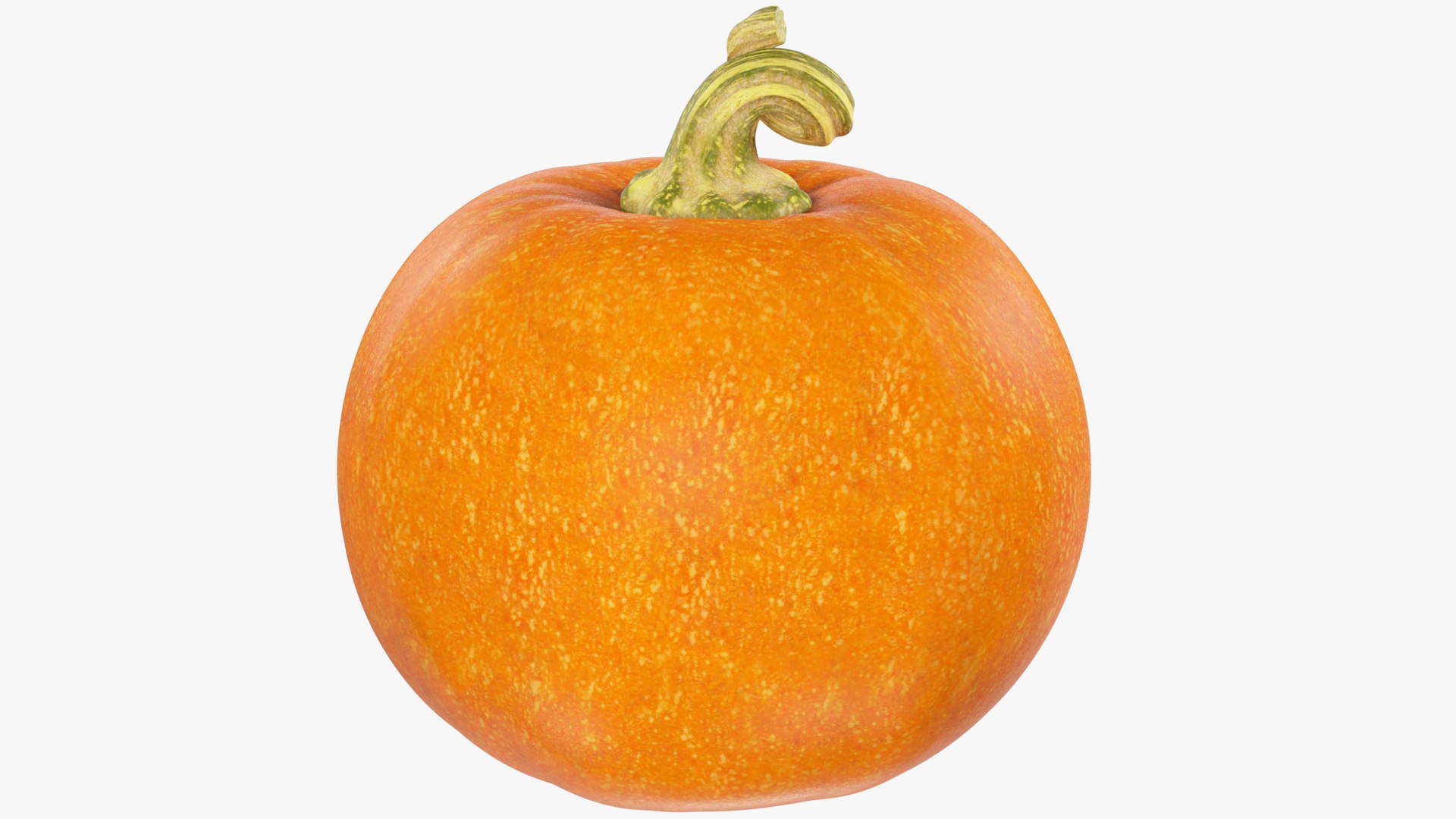 3D Halloween Pumpkins Collection V6 https://p.turbosquid.com/ts-thumb/WP/5SJnUm/nS/p6_004_003/png/1629214541/1920x1080/fit_q87/0d31aea7cf879514a3894c0438aa98d6f251126d/p6_004_003.jpg