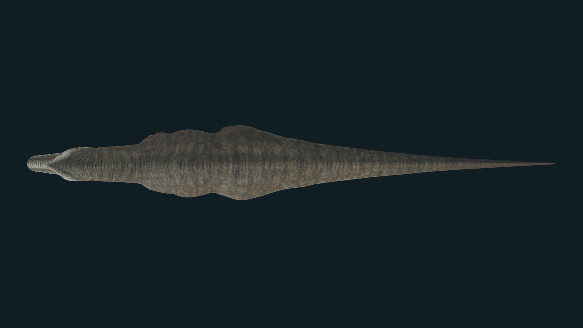 3D Tyrannosaurus model https://p.turbosquid.com/ts-thumb/WP/9Z37yQ/46/11.5/jpg/1703727595/1920x1080/fit_q87/7195161fc0dd07b10ea713f98599e556e033f6d1/11.5.jpg