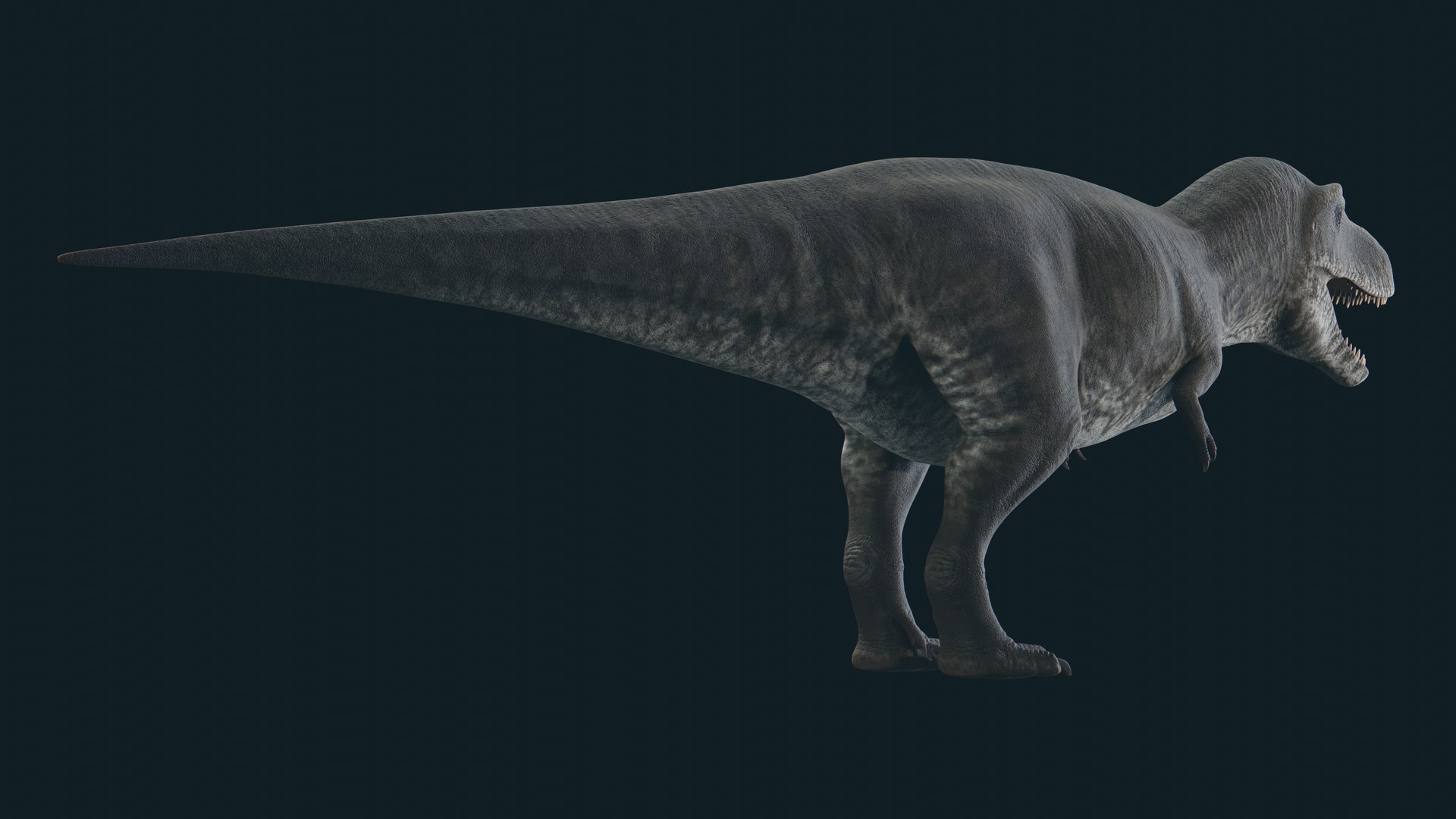 3D Tyrannosaurus model https://p.turbosquid.com/ts-thumb/WP/9Z37yQ/Ak/8/jpg/1703727594/1920x1080/fit_q87/7e2720df328da09525ddbd9cad4ee11388d9bbd6/8.jpg