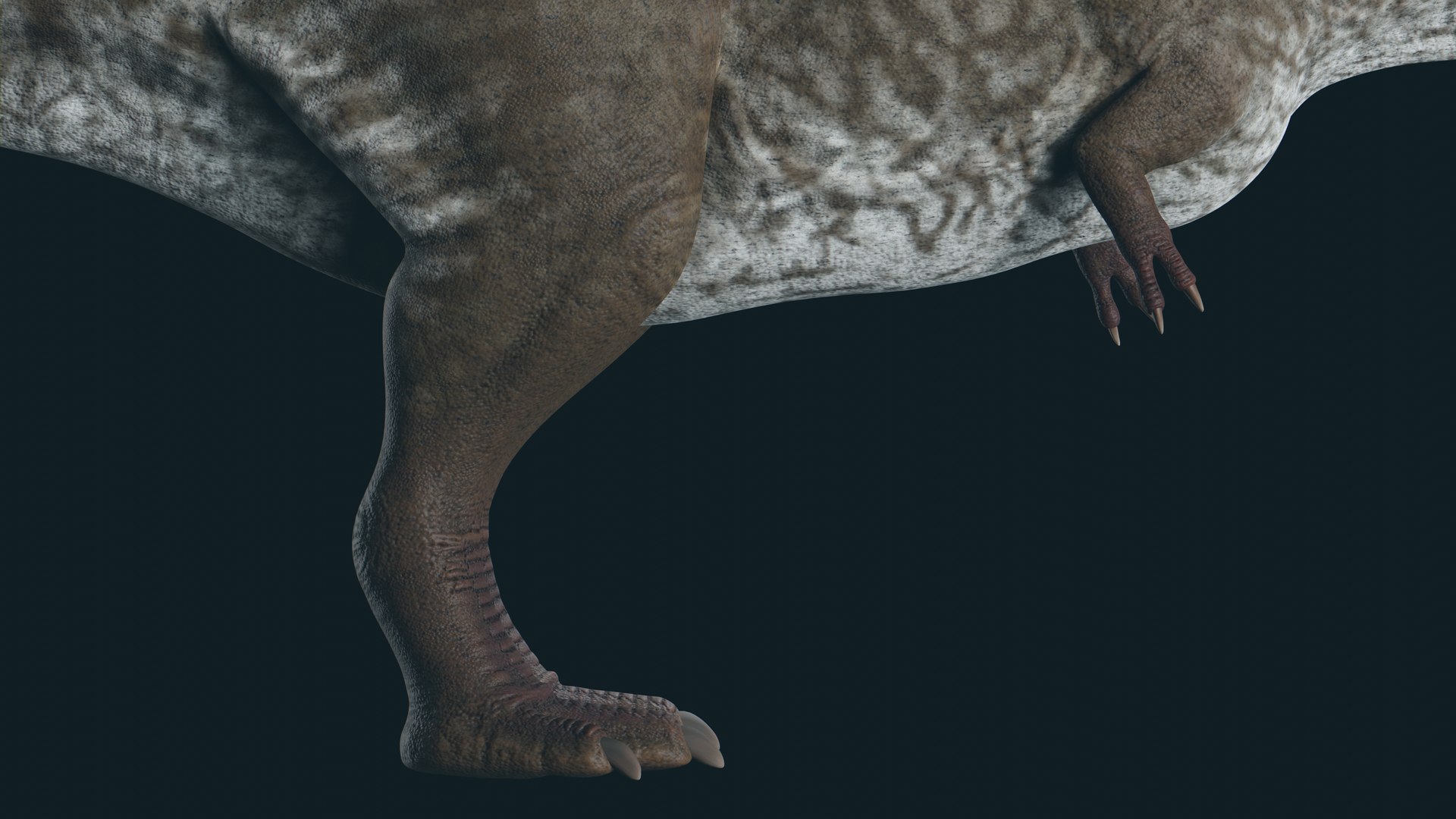3D Tyrannosaurus model https://p.turbosquid.com/ts-thumb/WP/9Z37yQ/BP/11/jpg/1703727595/1920x1080/fit_q87/6b73467ef5fd068ac82411d75010bb272fe4ee58/11.jpg