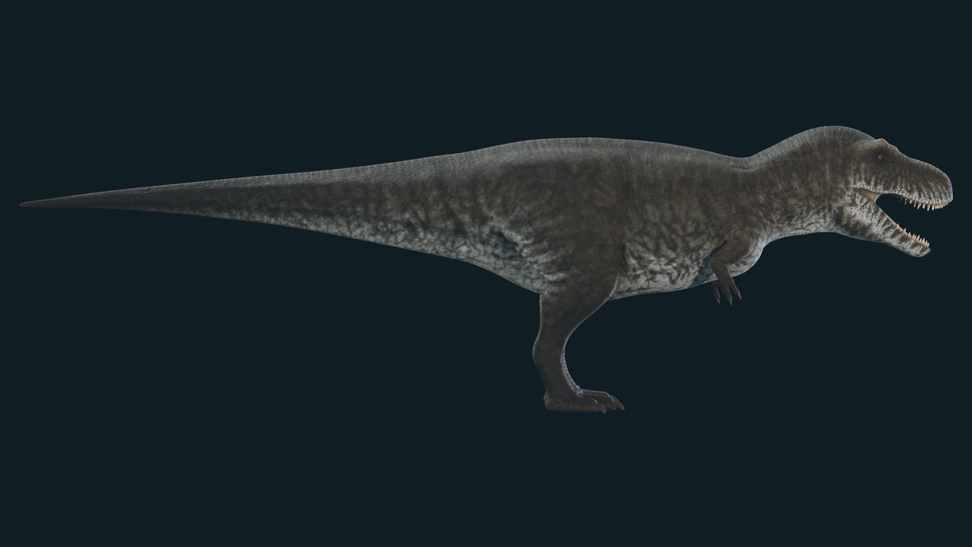 3D Tyrannosaurus model https://p.turbosquid.com/ts-thumb/WP/9Z37yQ/Dd/4/jpg/1703727591/1920x1080/fit_q87/35630576091bd0db68a7677269f9760a7ca80045/4.jpg