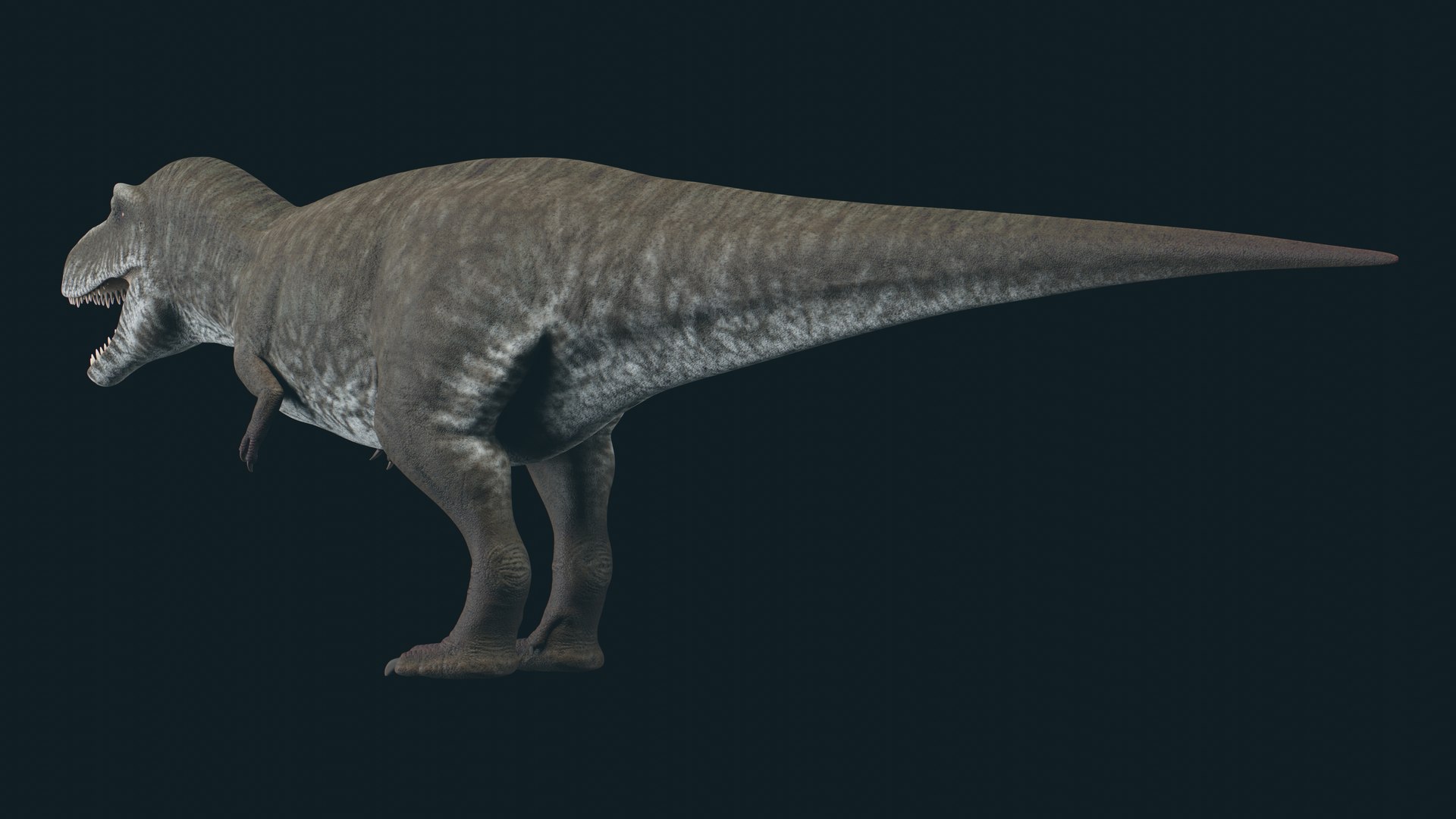 3D Tyrannosaurus model https://p.turbosquid.com/ts-thumb/WP/9Z37yQ/MZ/6/jpg/1703727592/1920x1080/fit_q87/aa24f511b297726c58646853a550f793885a4294/6.jpg