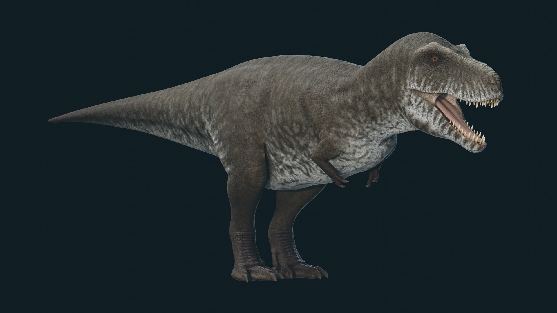 3D model 5 Dinosaur Pack https://p.turbosquid.com/ts-thumb/WP/9Z37yQ/PE/z0.1/jpg/1703729364/1920x1080/fit_q87/0a3da394b1079aeab3d78844ea968e41dbd5a367/z0.1.jpg