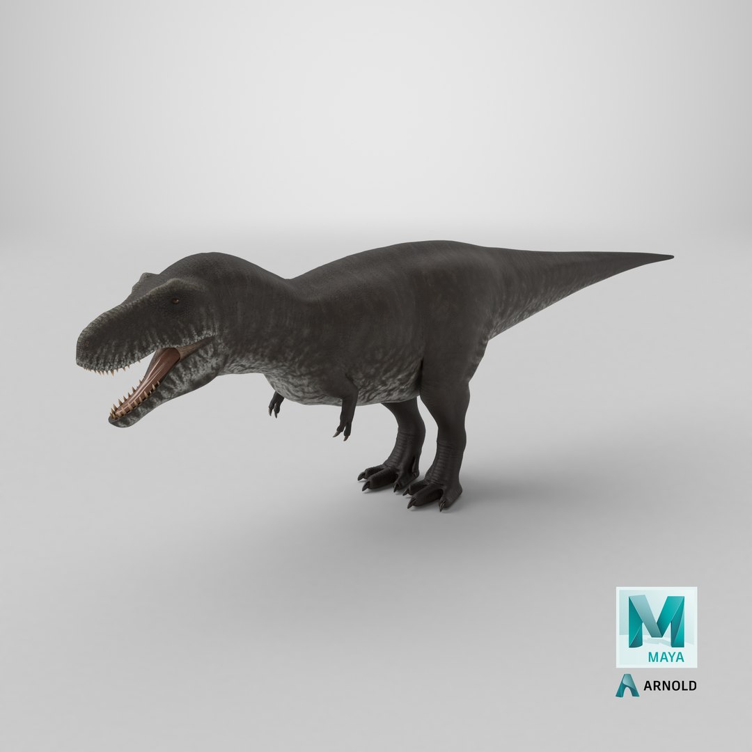 3D Tyrannosaurus model https://p.turbosquid.com/ts-thumb/WP/9Z37yQ/YN/stemcell_maya_arnold_render/png/1779457890/1920x1080/fit_q87/dbc246868ed0c1181db84322760655bf370eaa03/stemcell_maya_arnold_render.jpg