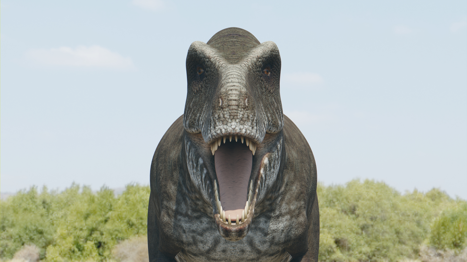3D Tyrannosaurus model https://p.turbosquid.com/ts-thumb/WP/9Z37yQ/un/z01/jpg/1703728433/1920x1080/turn_fit_q99/507db788a9b9d3559a86569a86173b7bb89c2dd0/z01-1.jpg