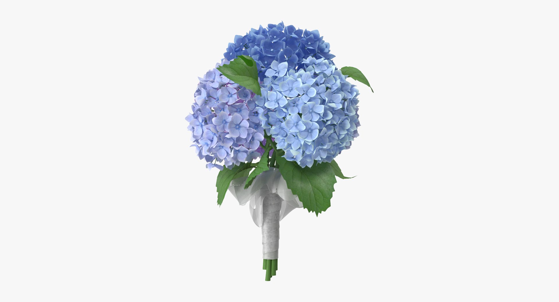 3D flower bouquets https://p.turbosquid.com/ts-thumb/WP/BWdPMU/fJjXAVjK/hydrangeas_04_bouquet_thumbnail_0000/jpg/1567425947/1920x1080/fit_q87/be91435feb3b1431c62c538685cb59feb70cbe58/hydrangeas_04_bouquet_thumbnail_0000.jpg