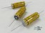 Electrolytic Capacitor v_3