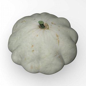 summer squash dxf
