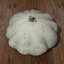 calabaza de verano