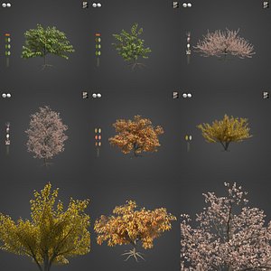 2021 PBR Peach Tree Collection - Prunus Persica 3D model