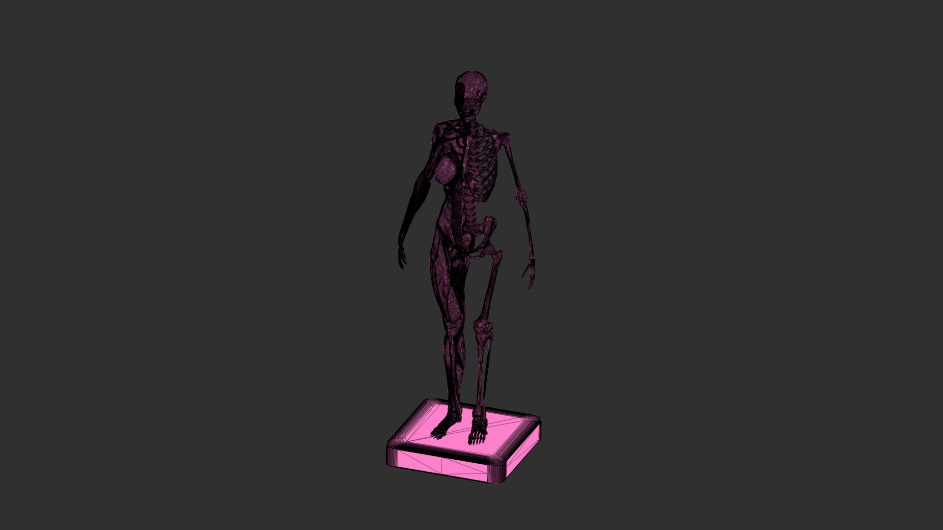 3D female muscle 3d print https://p.turbosquid.com/ts-thumb/WP/K4Gh6m/q4/femaleskeletonmusclewireframe04/jpg/1657039939/1920x1080/fit_q87/2c970b45c3c692bb095462b56fe0b1f9532bde8f/femaleskeletonmusclewireframe04.jpg