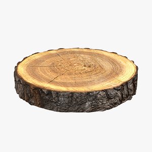 3D wood log slice