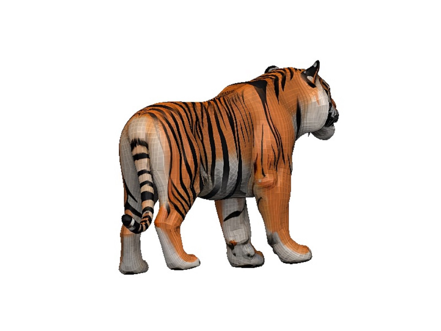 Tiger 3D Model - TurboSquid 2435327