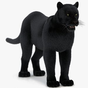 panther fur 3d model