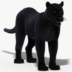 panther fur 3d model