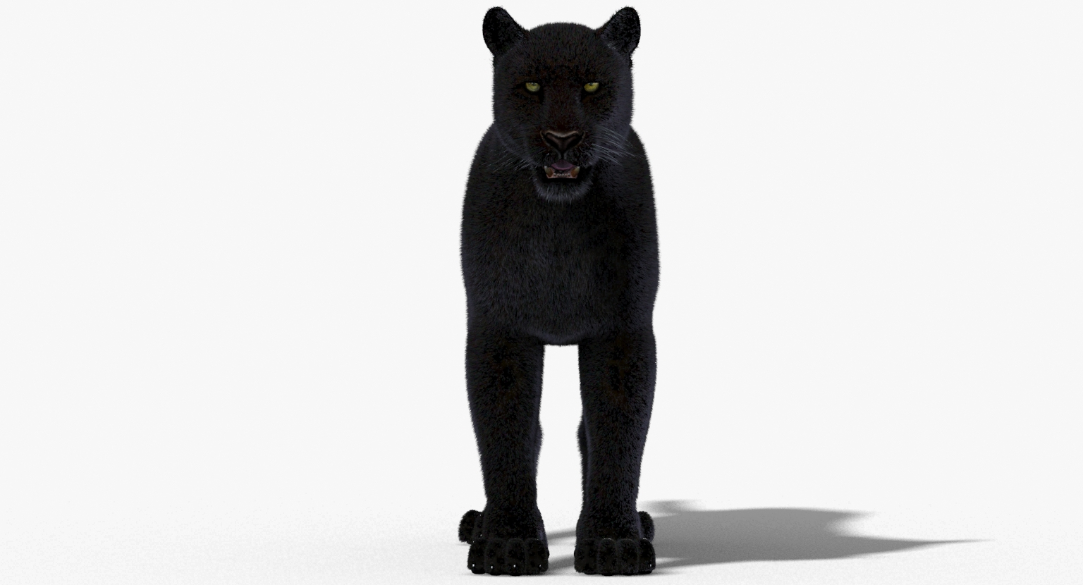 panther fur 3d model