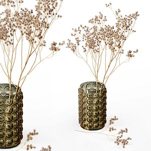 3D hm vase dry flowers model