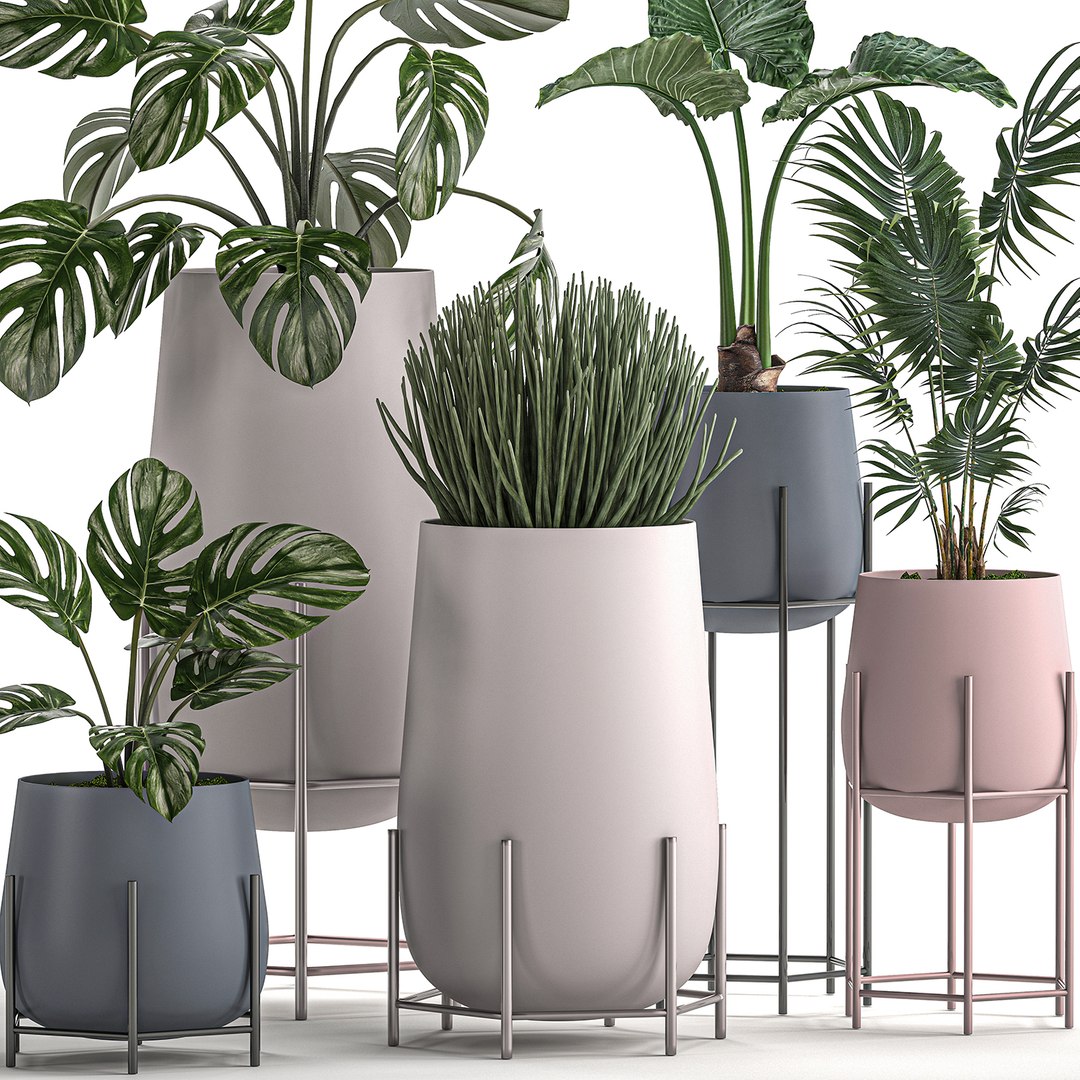 Decorative plants pots interior 3D model - TurboSquid 1559931