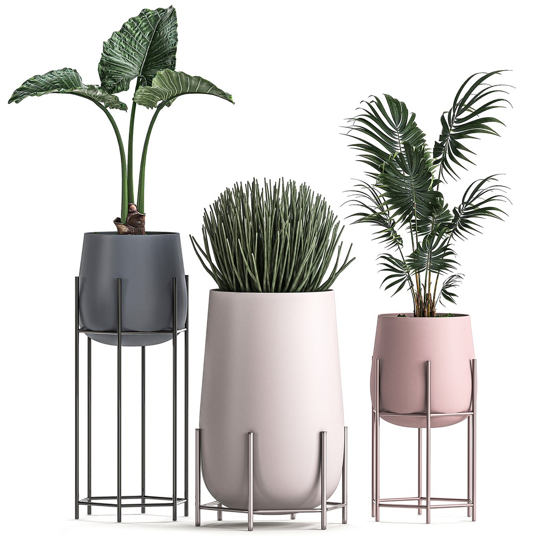 Decorative plants pots interior 3D model - TurboSquid 1559931