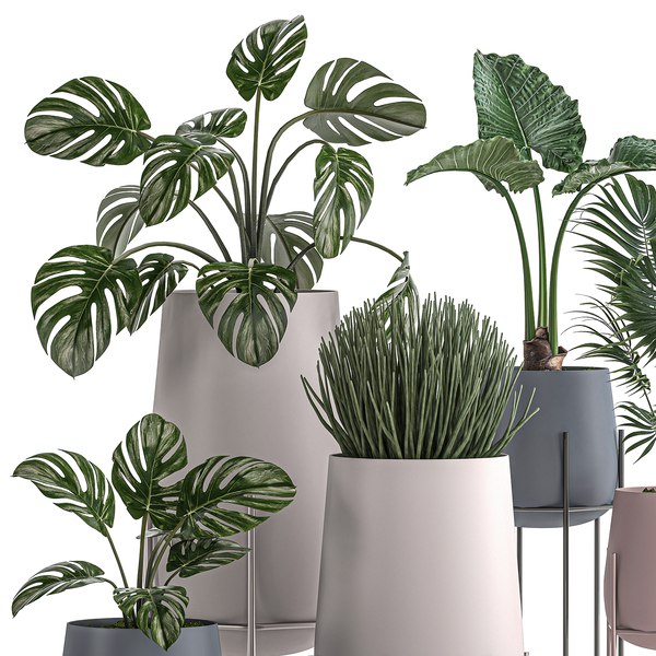 Decorative plants pots interior 3D model - TurboSquid 1559931