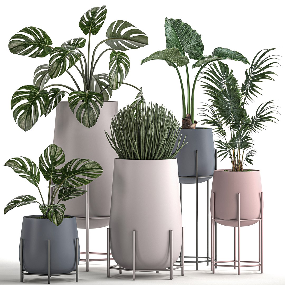 Decorative plants pots interior 3D model - TurboSquid 1559931