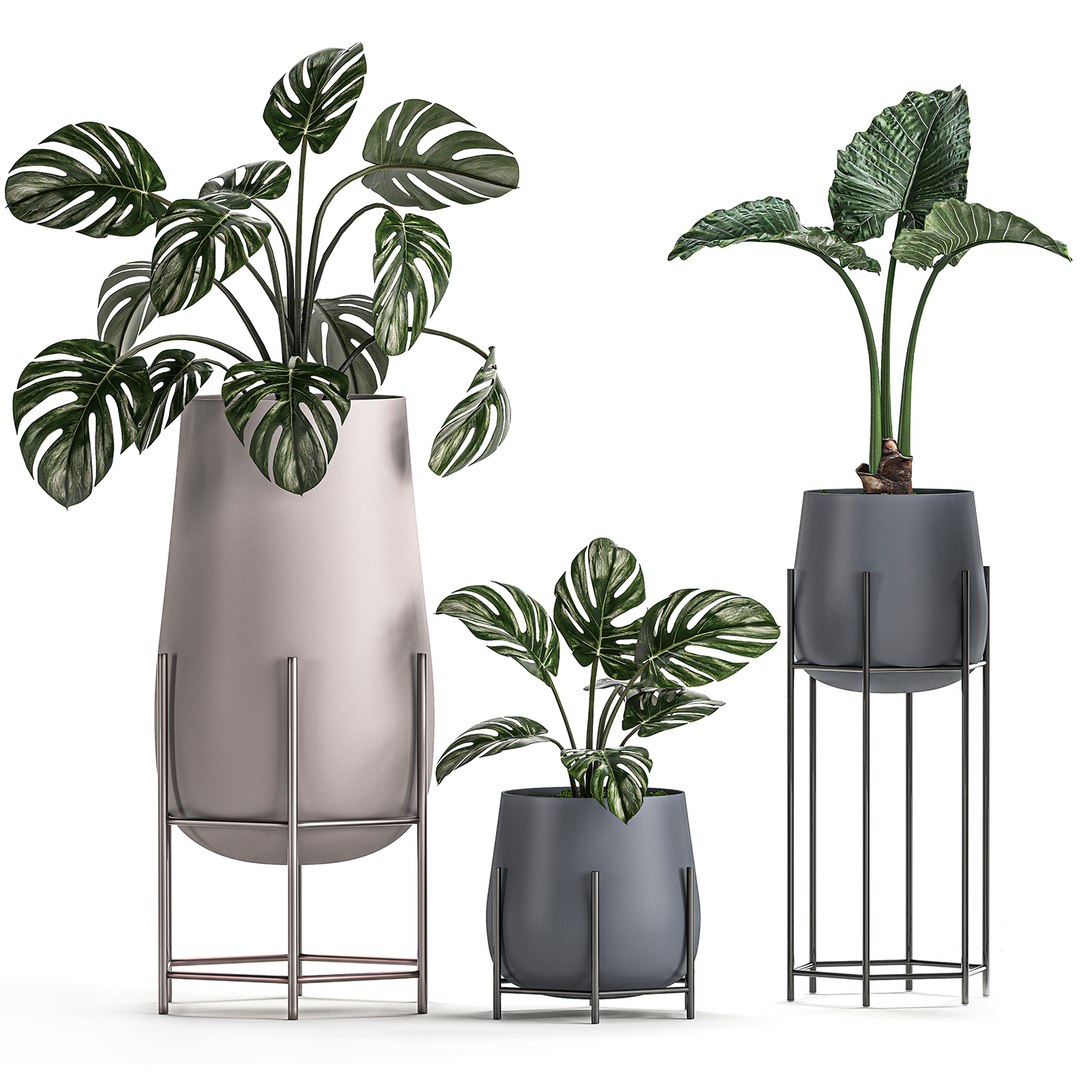 Decorative plants pots interior 3D model - TurboSquid 1559931