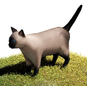 obj siamese cat