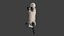 Chat siamois