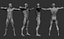 20 Male full body poses