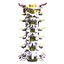 3D Cervical Spine Vertebrae model