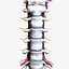 3D Cervical Spine Vertebrae model