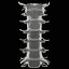 3D Cervical Spine Vertebrae model
