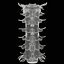 3D Cervical Spine Vertebrae model