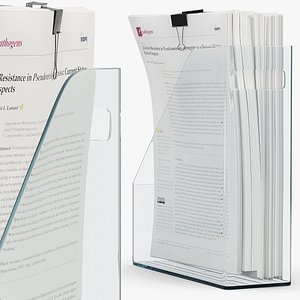 3D model Office Documents in Organizer Clear