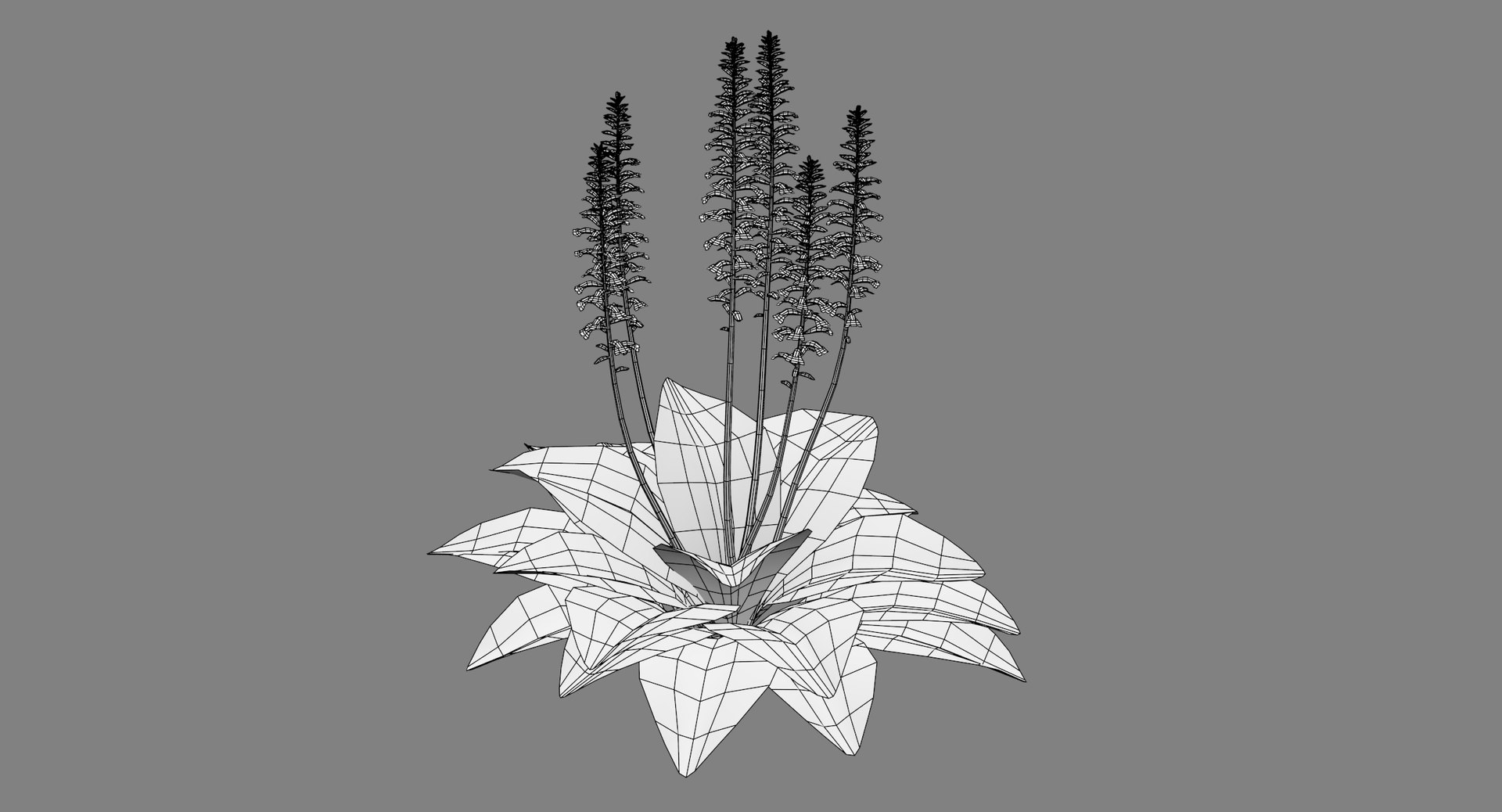 landscape flowers 3D model https://p.turbosquid.com/ts-thumb/WQ/8qlHw0/9S9AUgXr/acanthusfilaire01/jpg/1535812903/1920x1080/fit_q87/ca5b02f3fffb3232adda09abb210197e84f5624a/acanthusfilaire01.jpg