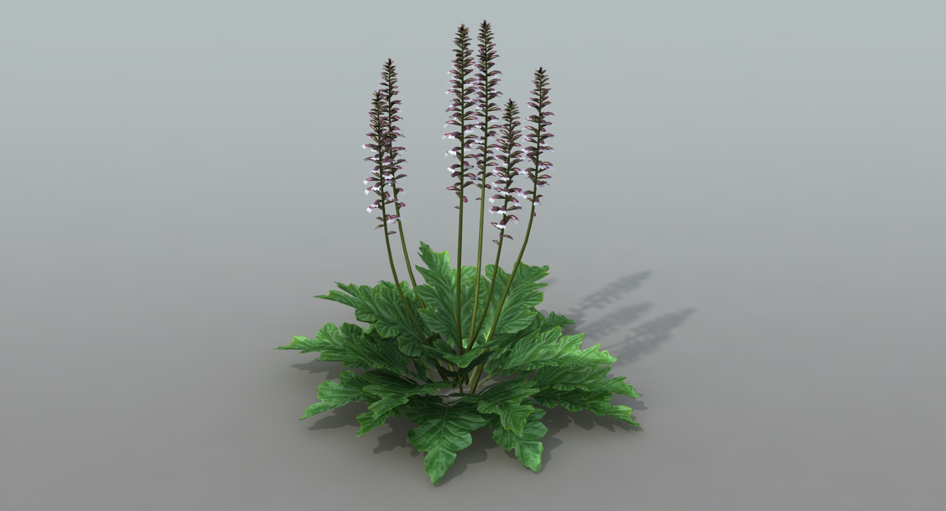 landscape flowers 3D model https://p.turbosquid.com/ts-thumb/WQ/8qlHw0/M8qDKgLo/am/jpg/1535816586/1920x1080/turn_fit_q99/fd14e8b70cb3f74535ebf961f0fa04f66289752c/am-1.jpg