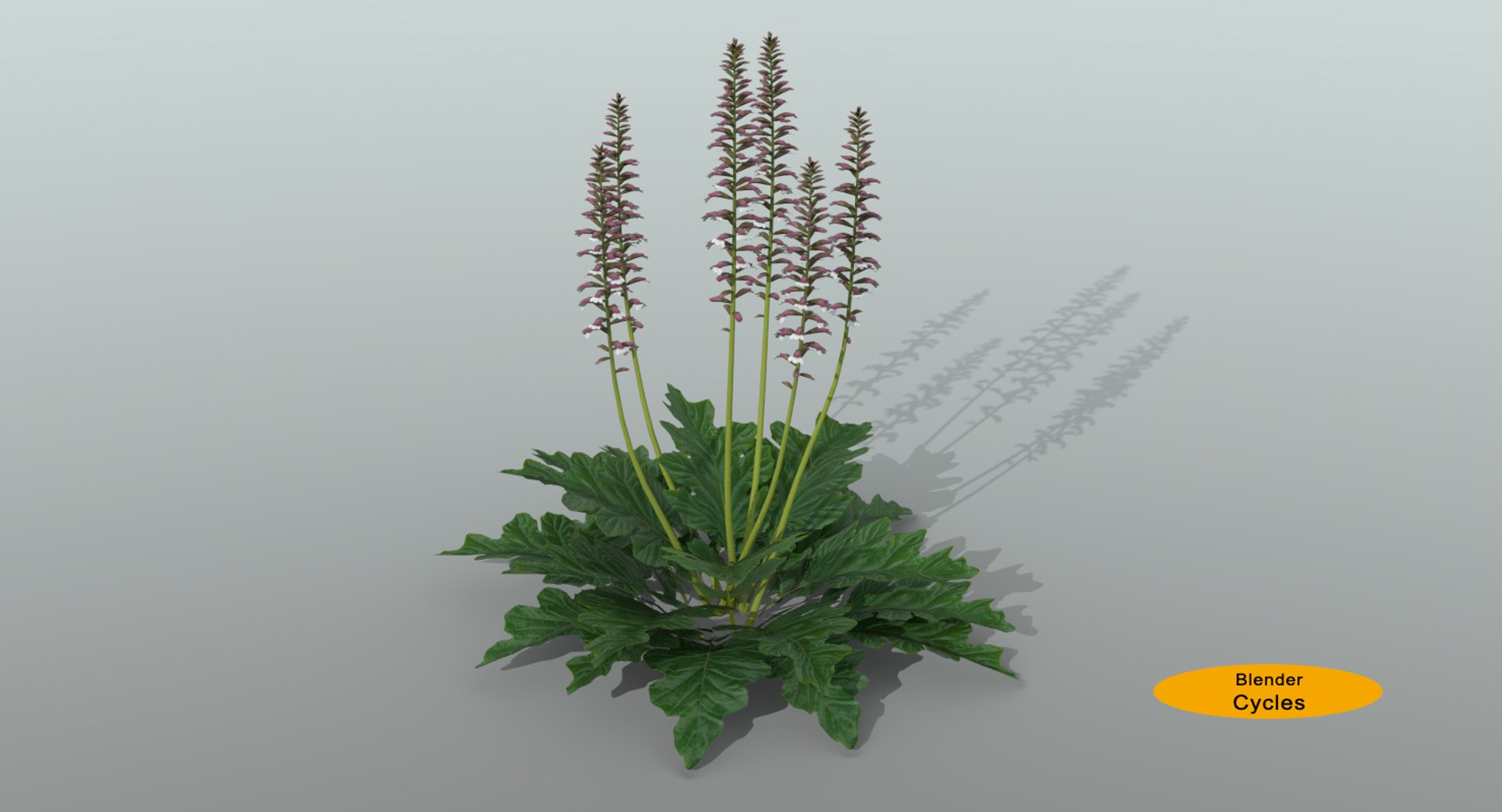 landscape flowers 3D model https://p.turbosquid.com/ts-thumb/WQ/8qlHw0/MDTvkSPY/acanthuscycl01/jpg/1535812903/1920x1080/fit_q87/fd6423b1db9c06a7c780ac45c8158719932e84ba/acanthuscycl01.jpg