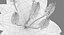Acanthus Mollis