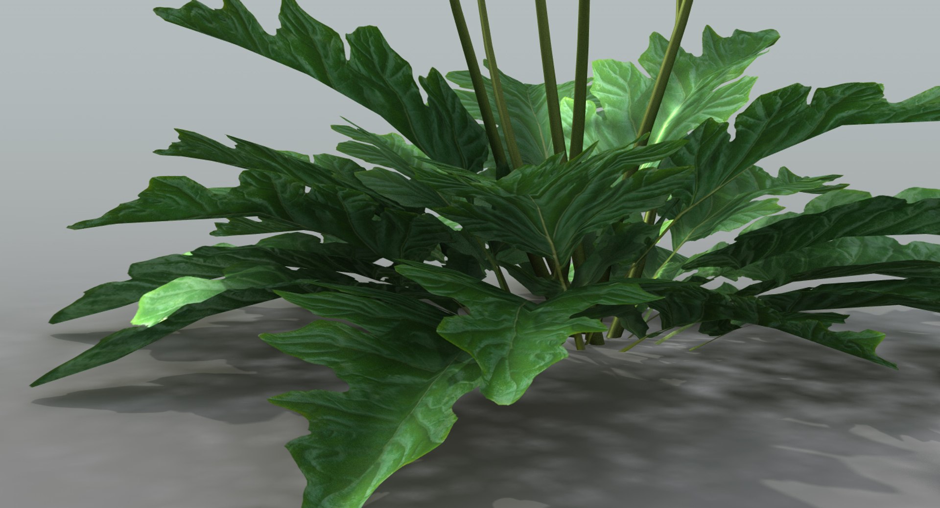 landscape flowers 3D model https://p.turbosquid.com/ts-thumb/WQ/8qlHw0/mk1q7w0g/acanthus06/jpg/1535812902/1920x1080/fit_q87/5065797831385008498d53dcbca8cd370f2d11a6/acanthus06.jpg