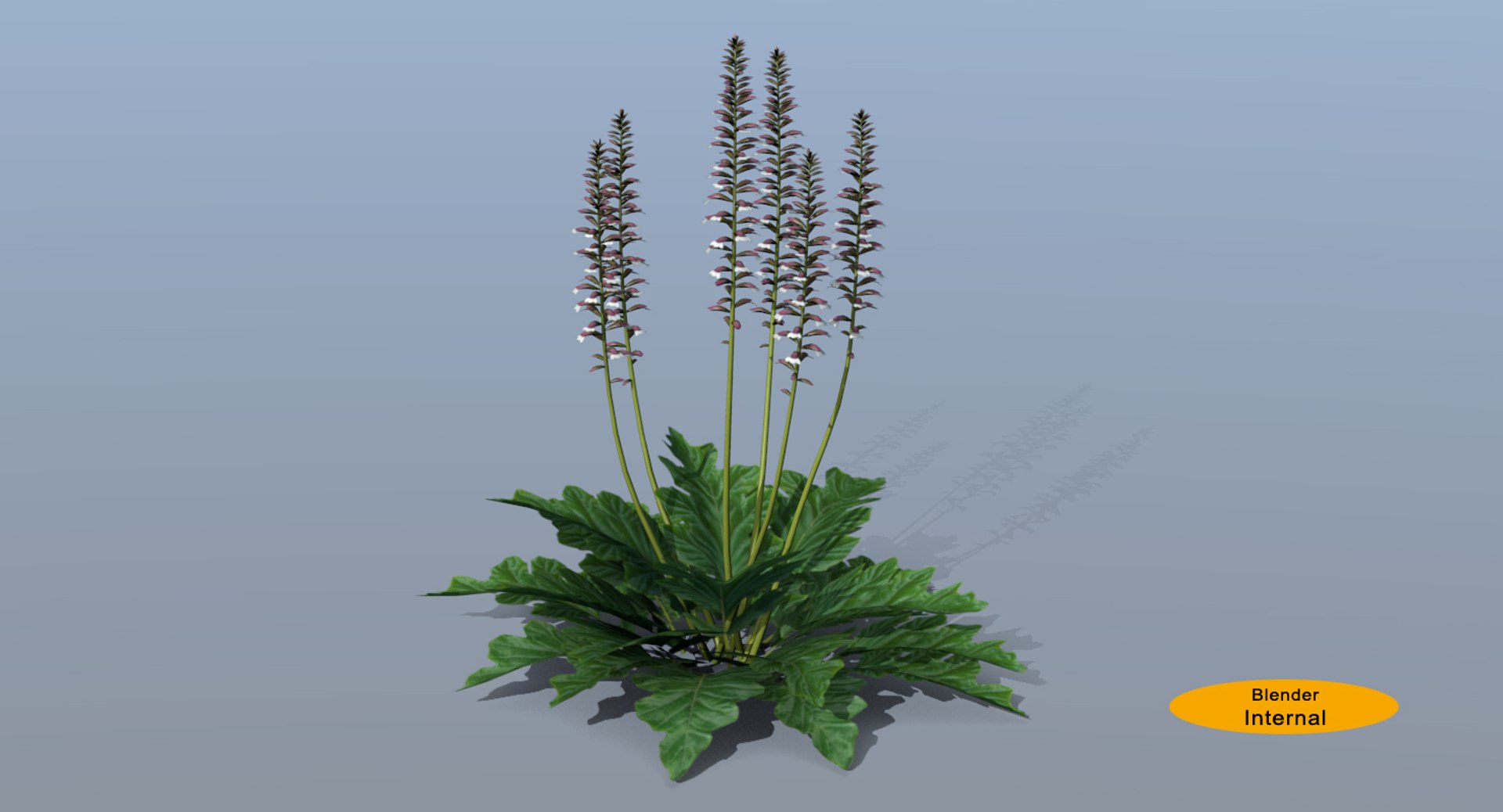 landscape flowers 3D model https://p.turbosquid.com/ts-thumb/WQ/8qlHw0/uKKWwsPV/acanthusinternal01/jpg/1535813168/1920x1080/fit_q87/106678aa3fd43d35a1da83553836d612febac198/acanthusinternal01.jpg