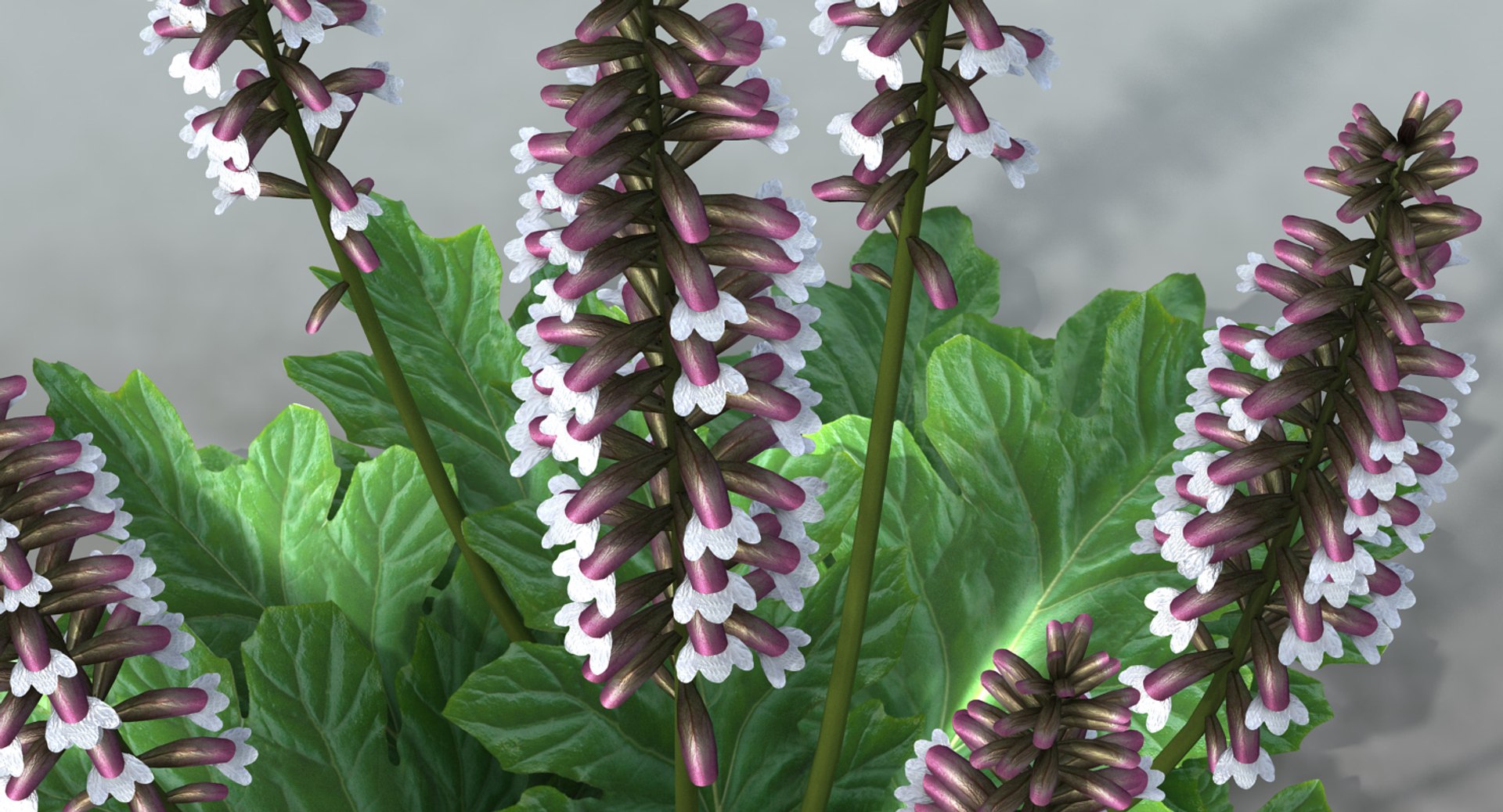 landscape flowers 3D model https://p.turbosquid.com/ts-thumb/WQ/8qlHw0/y5ruaSe1/acanthus05/jpg/1535812902/1920x1080/fit_q87/2a7480fdd3d85645495efd624f57565d0166dce8/acanthus05.jpg