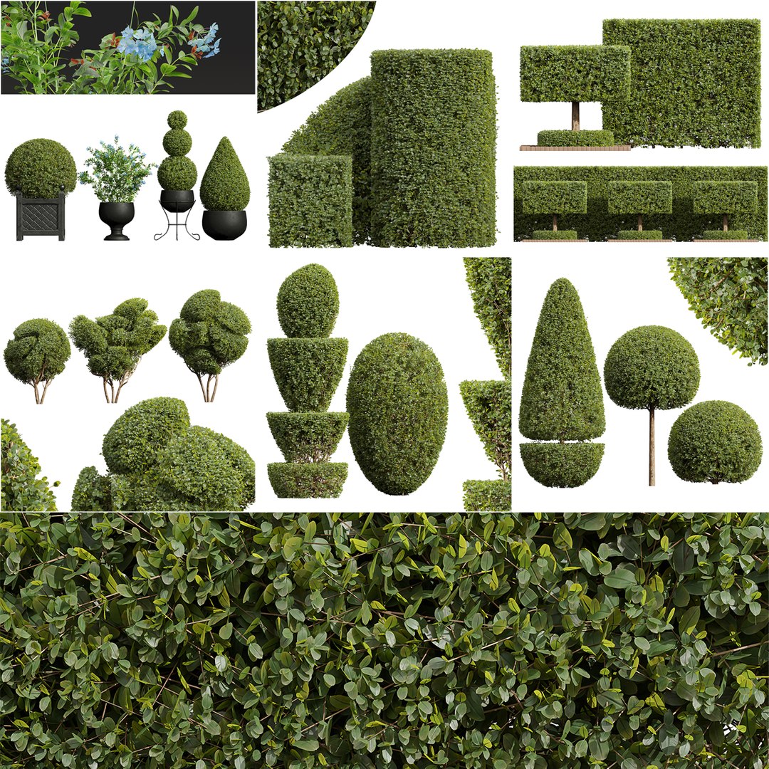 6Different SETS Of Plant Bush Set Vol 31 3D - TurboSquid 2205104