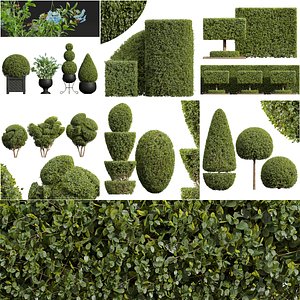 6Different SETS of Plant Bush Set Vol 31 3D