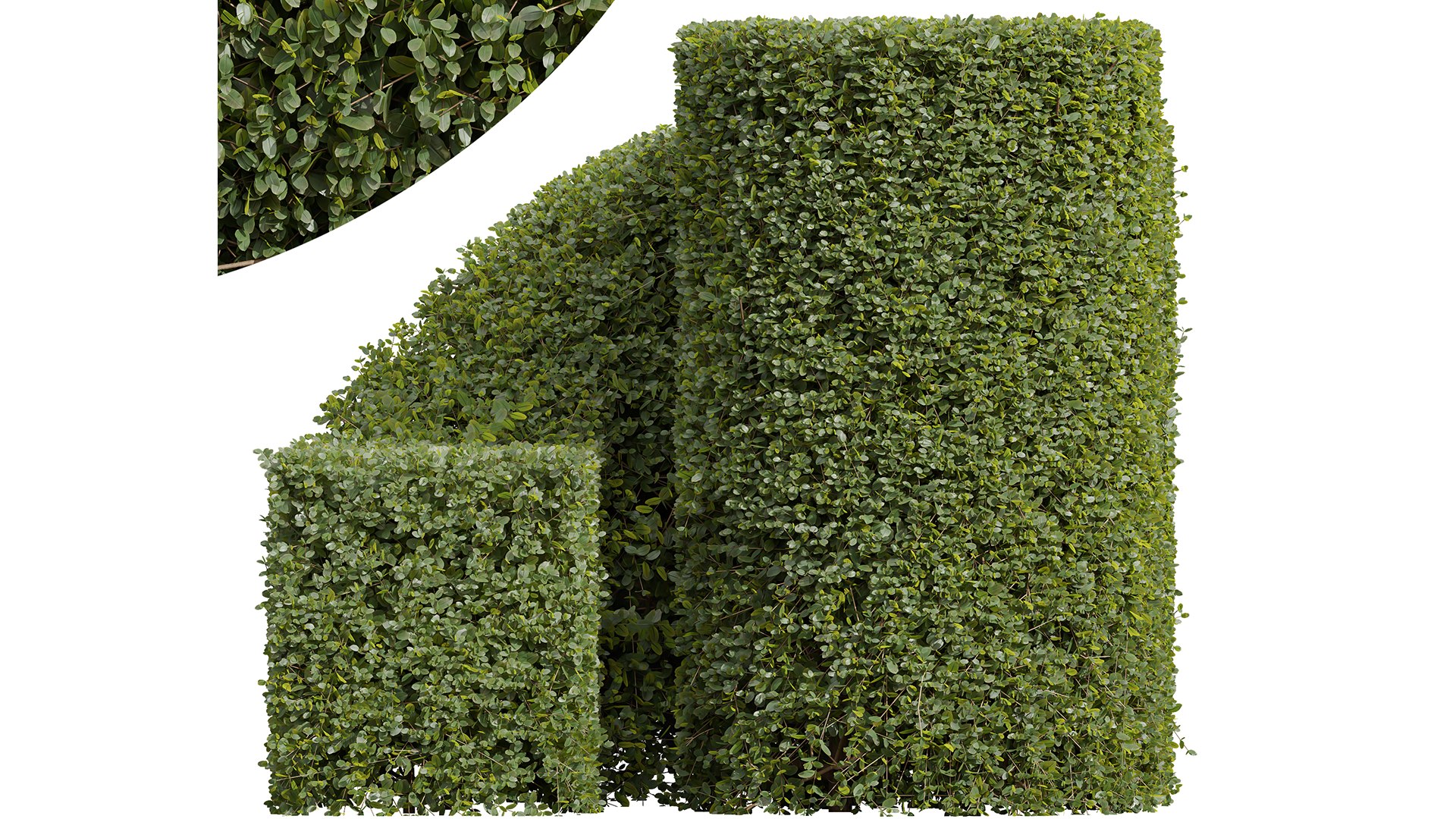 6Different SETS Of Plant Bush Set Vol 31 3D - TurboSquid 2205104