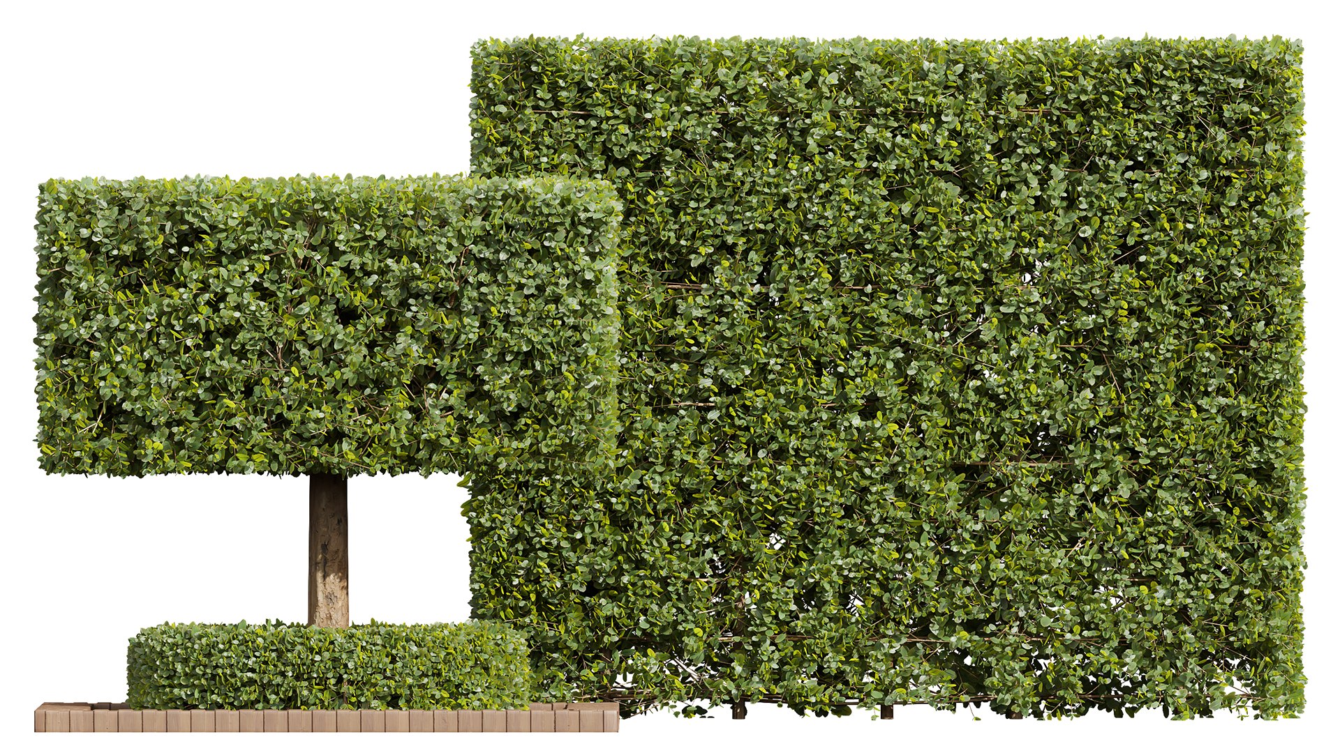 6Different SETS Of Plant Bush Set Vol 31 3D - TurboSquid 2205104