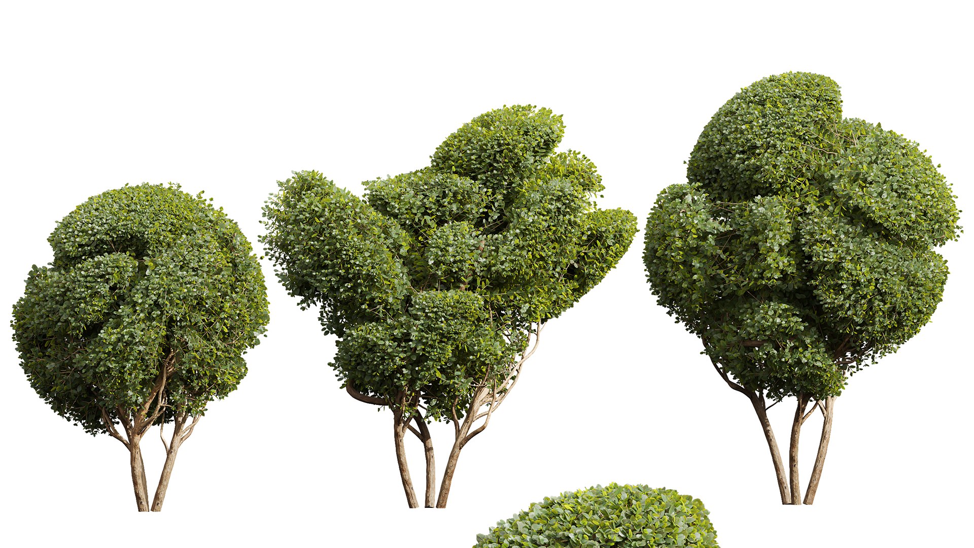 6Different SETS Of Plant Bush Set Vol 31 3D - TurboSquid 2205104