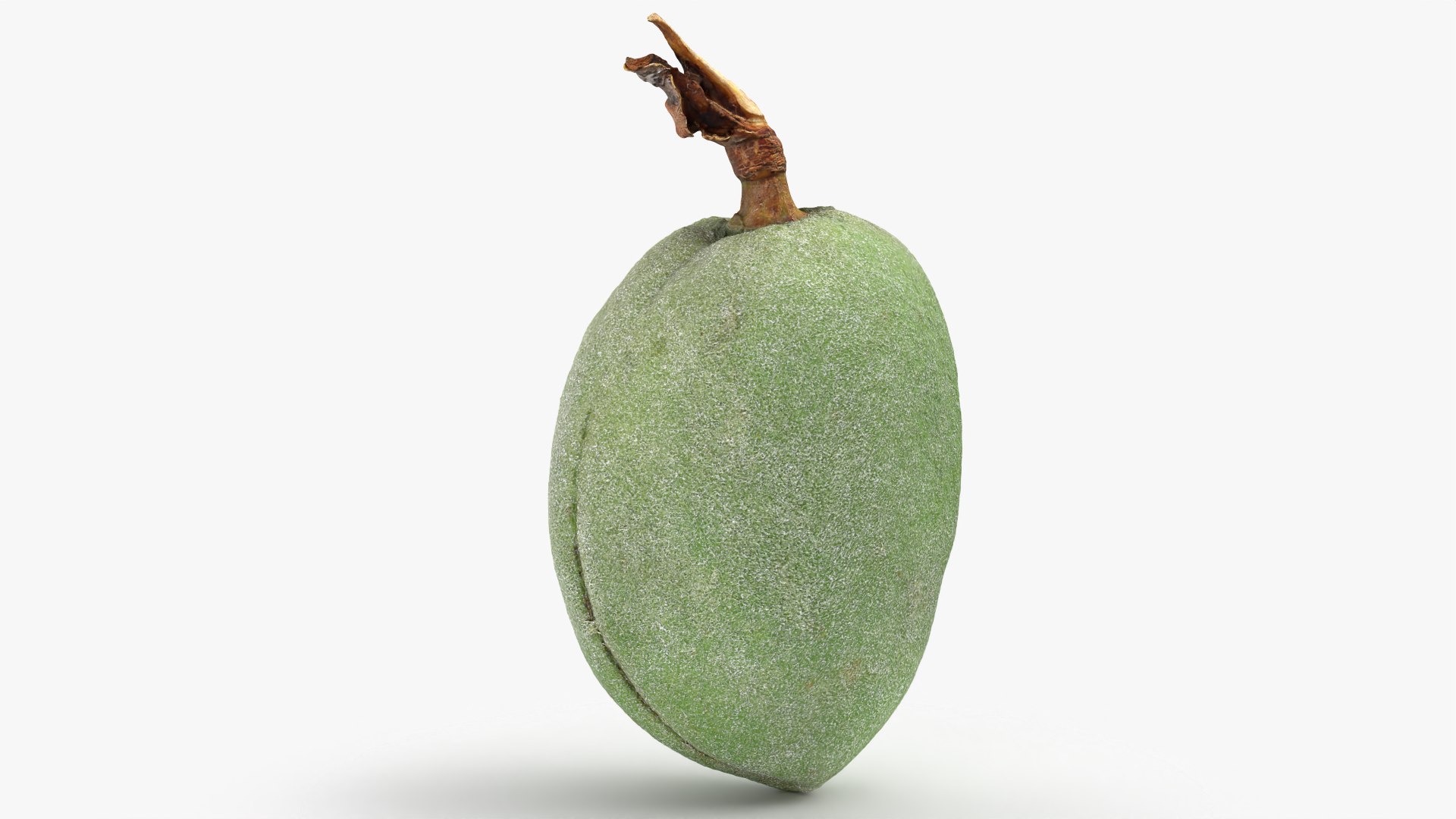 3D model Green Almond Collection https://p.turbosquid.com/ts-thumb/WQ/CZ3U6E/CO/almondgreen02_0001/png/1782483780/1920x1080/fit_q87/f5571b703b773d77f91373bb566e4984ca0a9c1f/almondgreen02_0001.jpg