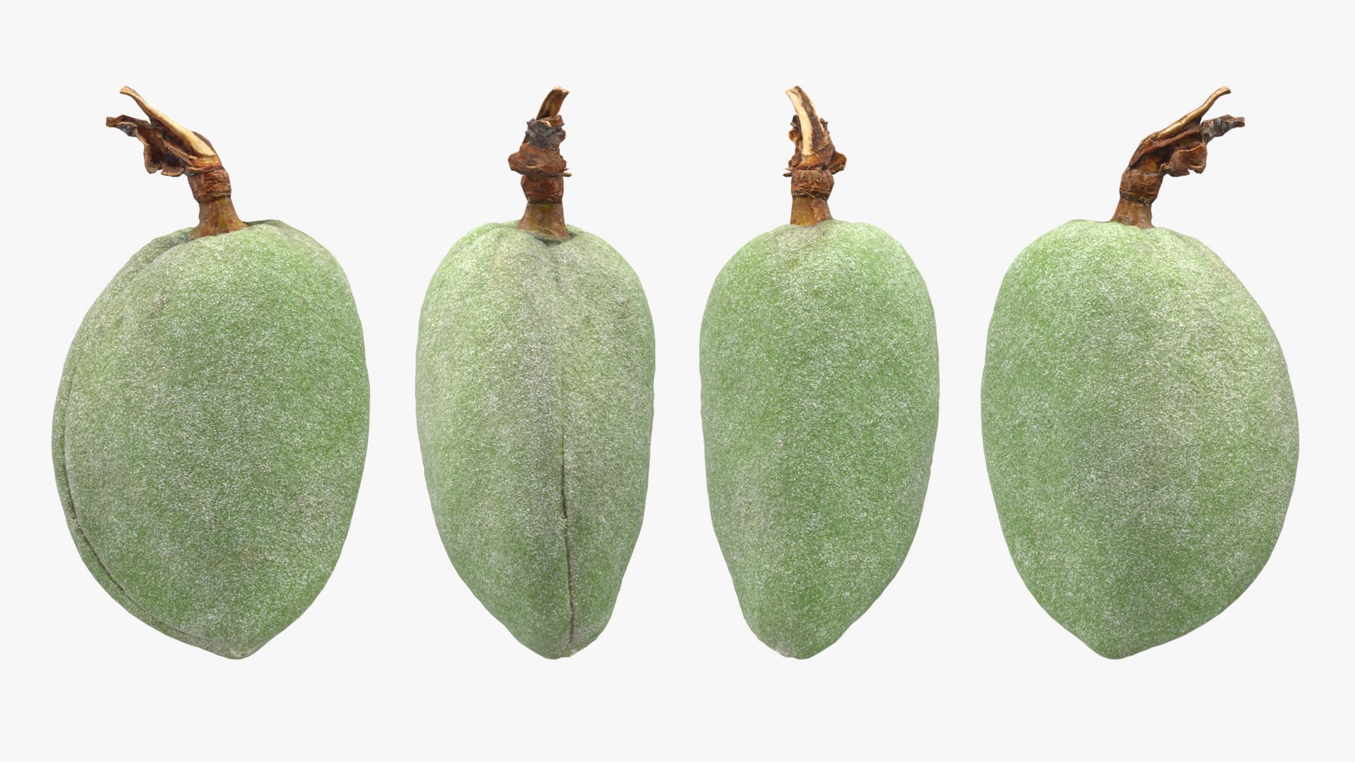 3D model Green Almond Collection https://p.turbosquid.com/ts-thumb/WQ/CZ3U6E/Jb/almondgreen02_0001b/png/1782483781/1920x1080/fit_q87/74bc905fd450bba1417a00ee4fec976cde407a1e/almondgreen02_0001b.jpg